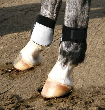 Horse fashion ankle boots