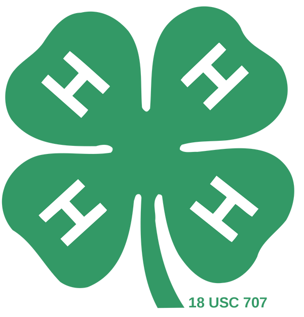 4H brand logo