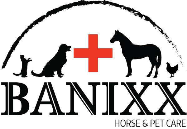 Banixx brand logo