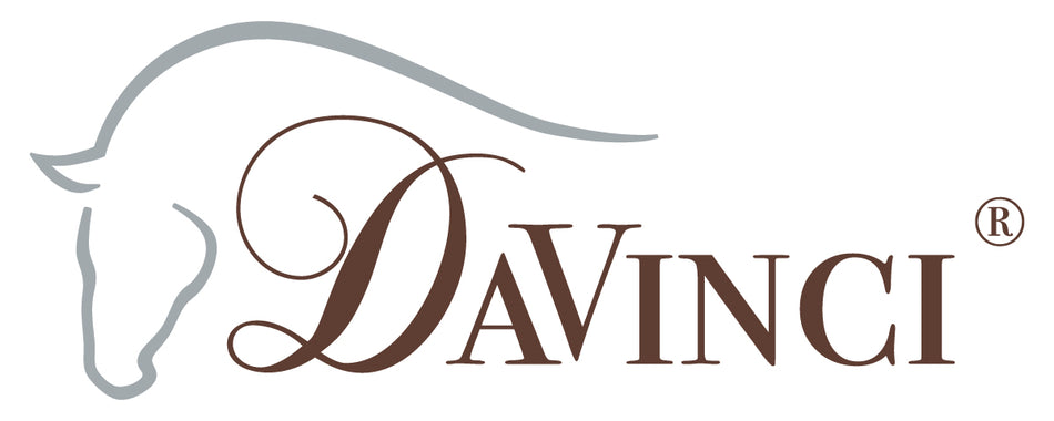 Da Vinci brand logo