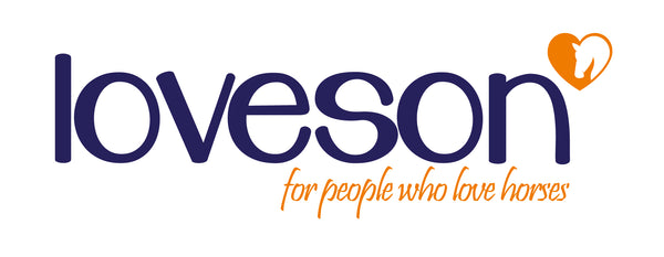 Loveson brand logo