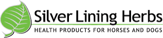 Silver Lining brand logo