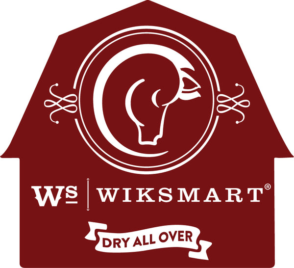 WikSmart brand logo