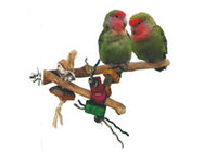 Bird Perches category thumbnail