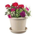 Garden Planters, Flower Pots & Window Boxes category thumbnail